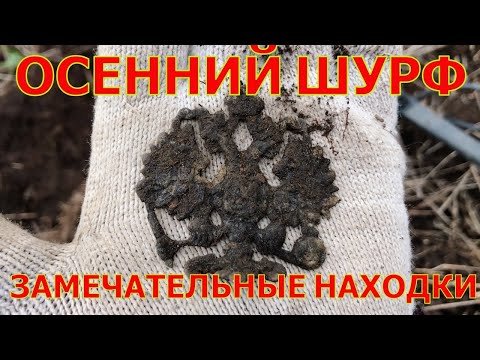 Видео: Осенний ШУРФ. Коп монет. Поиск монет с металлоискателем. В поисках старины.