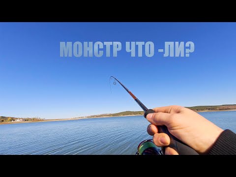 Видео: ВОДОХРАНИЛИЩЕ 2.0 РАЗНОРЫБИЦА.ОСЕНЬ.
