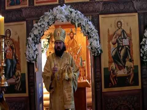 Видео: Проповедь в Неделю 1-ю по Пятидесятнице, Всех святых.