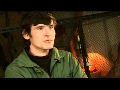 Видео: Рысь Нелли 1-25