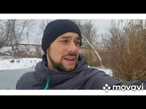 Видео: ловушка для выдры в действии