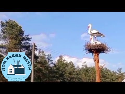 Видео: ГНЕЗДО С АИСТАМИ. Декор для сада.#декордлясада