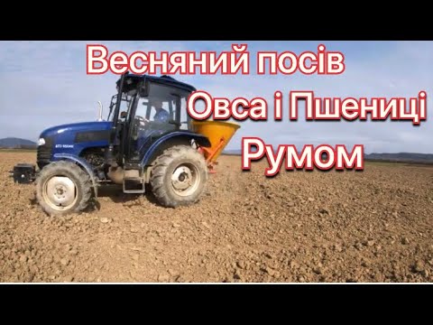 Видео: Ярий посів Овса і Пшениці РУМОМ (Розкидувач міндобрив)