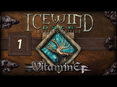 Видео: Icewind Dale: Enhanced Edition - Создание отряда партии (средоточие ярости) #1