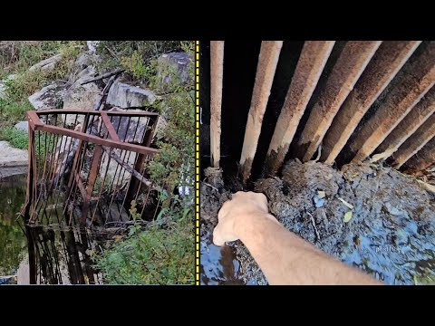 Видео: Решение Массачусетса о замене треугольной решётки бобров и очистке территории с обновлениями