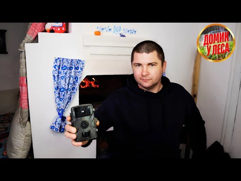 Видео: ЖИЗНЬ СЕМЬИ В ДЕРЕВНЕ У ЛЕСА. Решили устроить фотоохоту