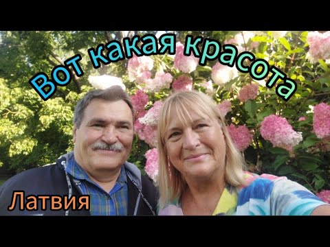 Видео: 491.Латвия.Булдури.Успели увидеть розарий.
