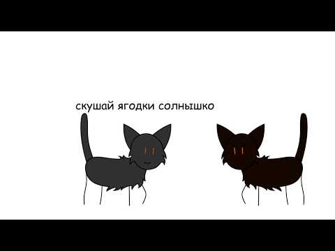 Видео: Коты-воители ~ Первый цикл в двух словах