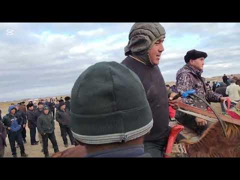Видео: Атшабыс Кокпар Караозек Арэопортта