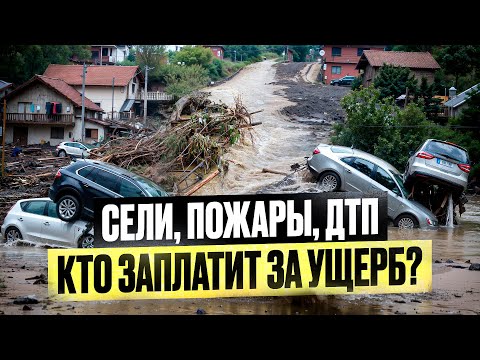 Видео: Заплати 600 сом – получи до 500 тыс.!  Как работает КЫРГЫЗГОССТРАХ?