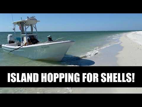 Видео: Путешествие по островам в поисках ракушек. Исследуем великолепные острова Флориды в поисках ракуш...