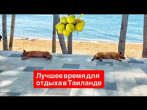 Видео: Сколько стоит еда. Лучший месяц для отдыха. Таиланд экономит вам жизнь.Пляж Джомтьен. Паттайя 2025.