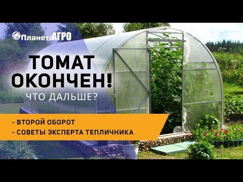 Видео: 🌿 Подготовка теплицы к уборке 🌿 второй оборот - советы эксперта тепличника