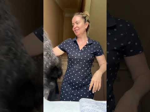 Видео: 17 мая 2024 г.