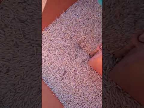 Видео: дробилка корм.