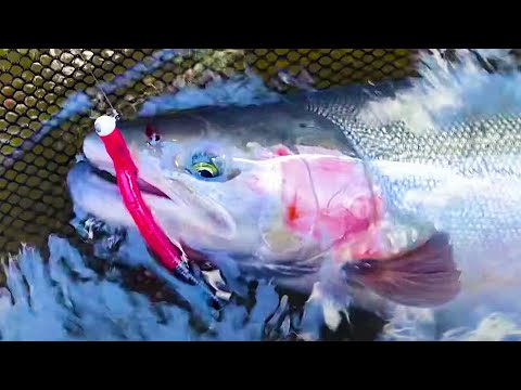 Видео: РЫБАЛКА НА НОВОЙ РЕКЕ В ПОИСКАХ БОЛЬШОГО СТАЛЬНОГОЛОВОГО АКАНСИРА!!