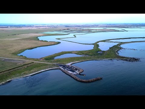 Видео: Невероятная рыбалка на мерланга на этом НОВОМ лодочном спуске!!