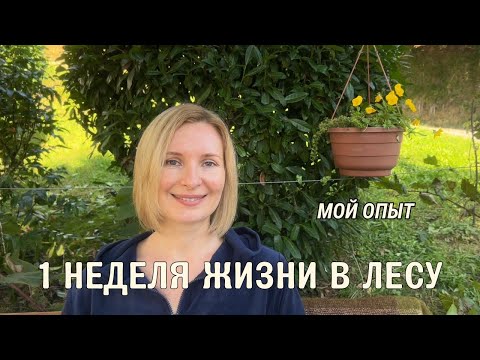 Видео: Я живу в лесу неделю. Что я чувствую? 