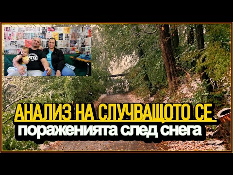 Видео: Природата показа силата си! ❄️ Буря, сняг и щети! ПОРАЖЕНИЯТА -живот на село с @didoikali