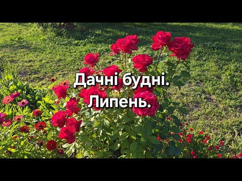 Видео: #94 Дачні будні. Нарізка відео за липень. 