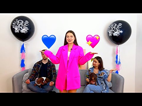 Видео: ГЕНДЕР ПАТИ ДЛЯ СОБАК || КОГО ЖДУТ ЧАПИТОСИКИ???💖💙