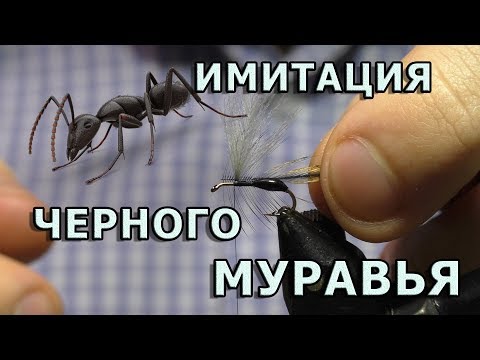 Видео: Имитация Черного Муравья. Универсальная мушка