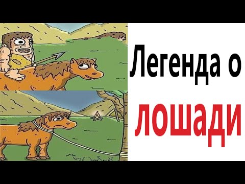 Видео: Приколы! ЛЕГЕНДА О ЛОШАДИ – МЕМЫ - АНИМАЦИЯ!!! Смешные видео от Доми шоу!