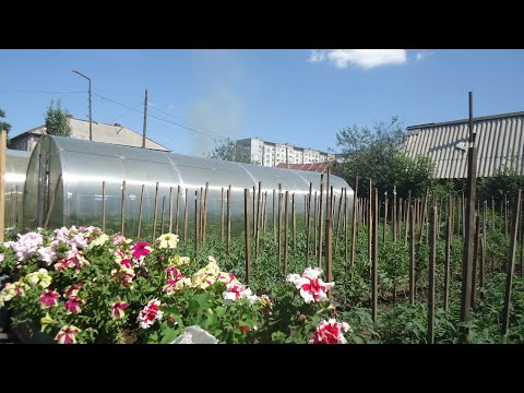 Видео: ГДЕ ЛУЧШЕ УСТАНОВИТЬ ТЕПЛИЦУ НА УЧАСТКЕ? Ольга Чернова.