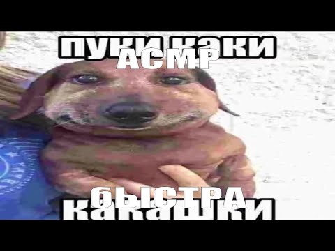 Видео: АСМР СКОЛЬКО-ТО ТАМ МИНУТ | ASMR OCHEN BISTRO (VERY FAST) ASMR
