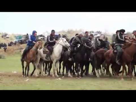 Видео: Гапан мырзанын кокпары. 2/ Акалакшы Кулшыгаш Жанка! 23-03-2015