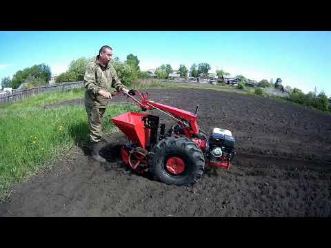 Видео: Садим картошку мотоблоком МТЗ с самодельной картофелесажалкой.Не работа-отдых!!!!