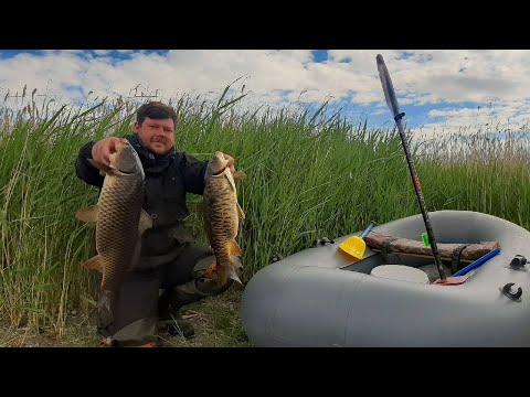 Видео: РЫБАЛКА НА КАРПА ПОСЛЕ НЕРЕСТА Карп на боковой кивок