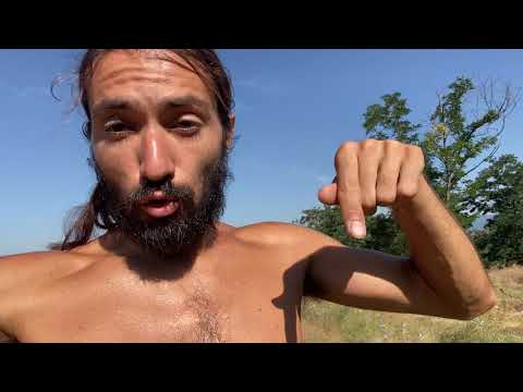 Видео: Продавам Малки Кученца: Алабай (САО) кръстоска с Белгийско Малиноа (Белгийска Овчарка) ЖельоМир