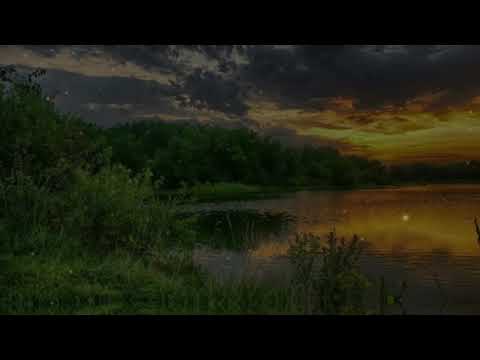 Видео: Три слова на перрон