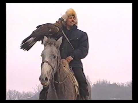 Видео: Инновационный тур в Казахстане «Охота с беркутом»