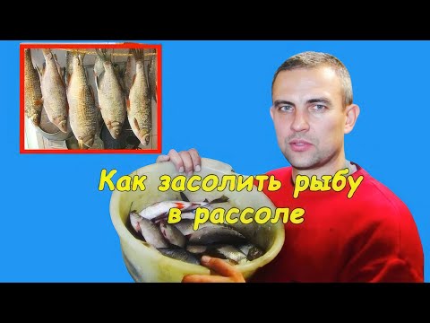 Видео: Мокрый посол рыбы