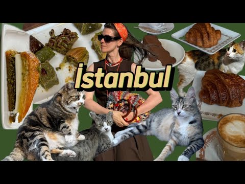 Видео: Обзор вкусных (и не очень) мест Стамбула| Турция| пахлава Güllüoğlu, стрит фуд, Бейоглу