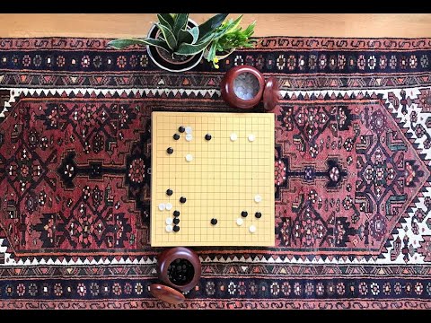 Видео: Субботняя лекция №2. "Основы игры + Правила, глазами дана".