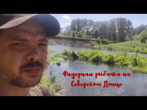 Видео: Фидерная рыбалка в июле на Северском донце.