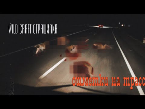 Видео: wildcraft страшилка | ошметки на трассе |