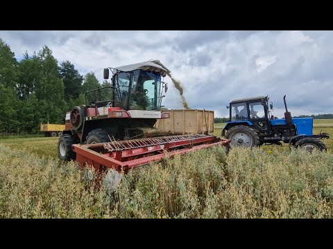 Видео: Продолжение уборочной  после ремонта двигателя. Нагоняем упущенное... за Русь !
