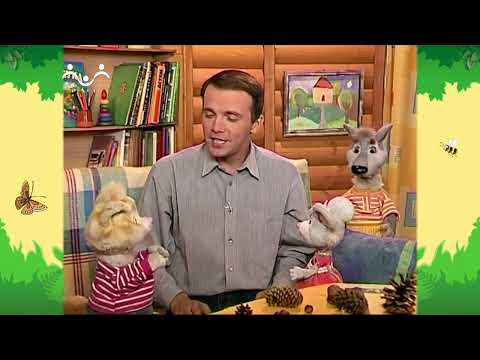 Видео: День в Шишкином Лесу. Библиотека. Как Коксик ленился