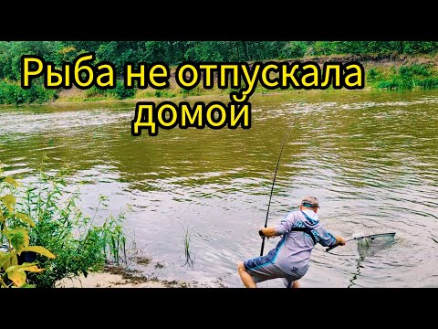 Видео: Рыбалка которую не хотелось заканчивать! Бешенный клев сазана на кукурузу + бонусный амур!