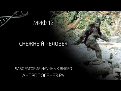 Видео: Снежный Человек. Мифы об эволюции человека.