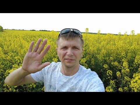 Видео: СЕВЕР МОЛДОВЫ | МАРШРУТ КИШИНЕВ - БРИЧАНЫ