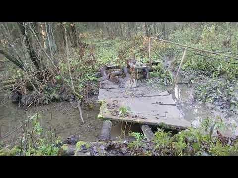 Видео: Ужас! Парк им. Ленина в Вологде после реконструкции.