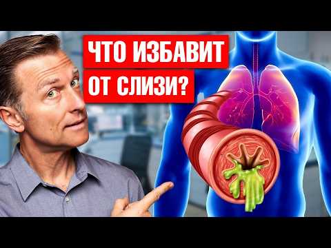 Видео: Бронхит? Синусит? Лучшее средство от мокроты и слизи🙌