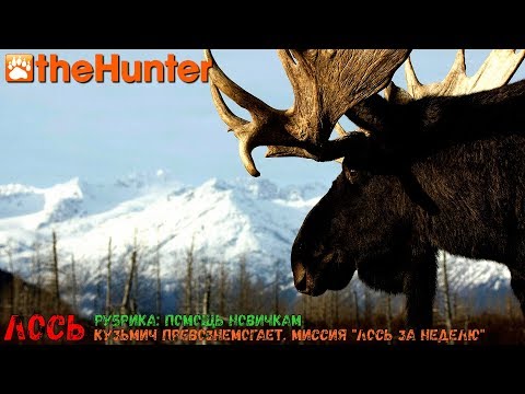 Видео: theHunter Classic | Рубрика: Помощь новичкам | Лось - часть 3, начиная с миссии "Лось за неделю"