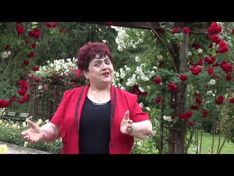 Видео: Иванка Димитрова- Китка песни