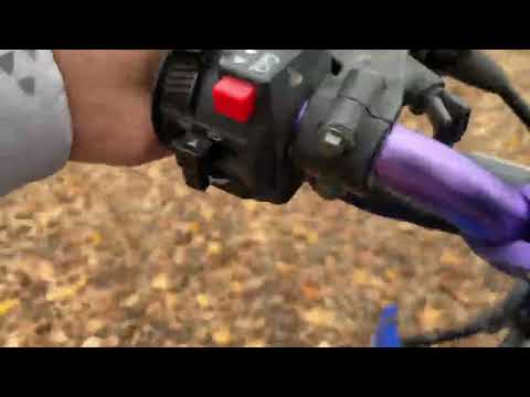 Видео: Ищем приключения 26 октября 2025 г.